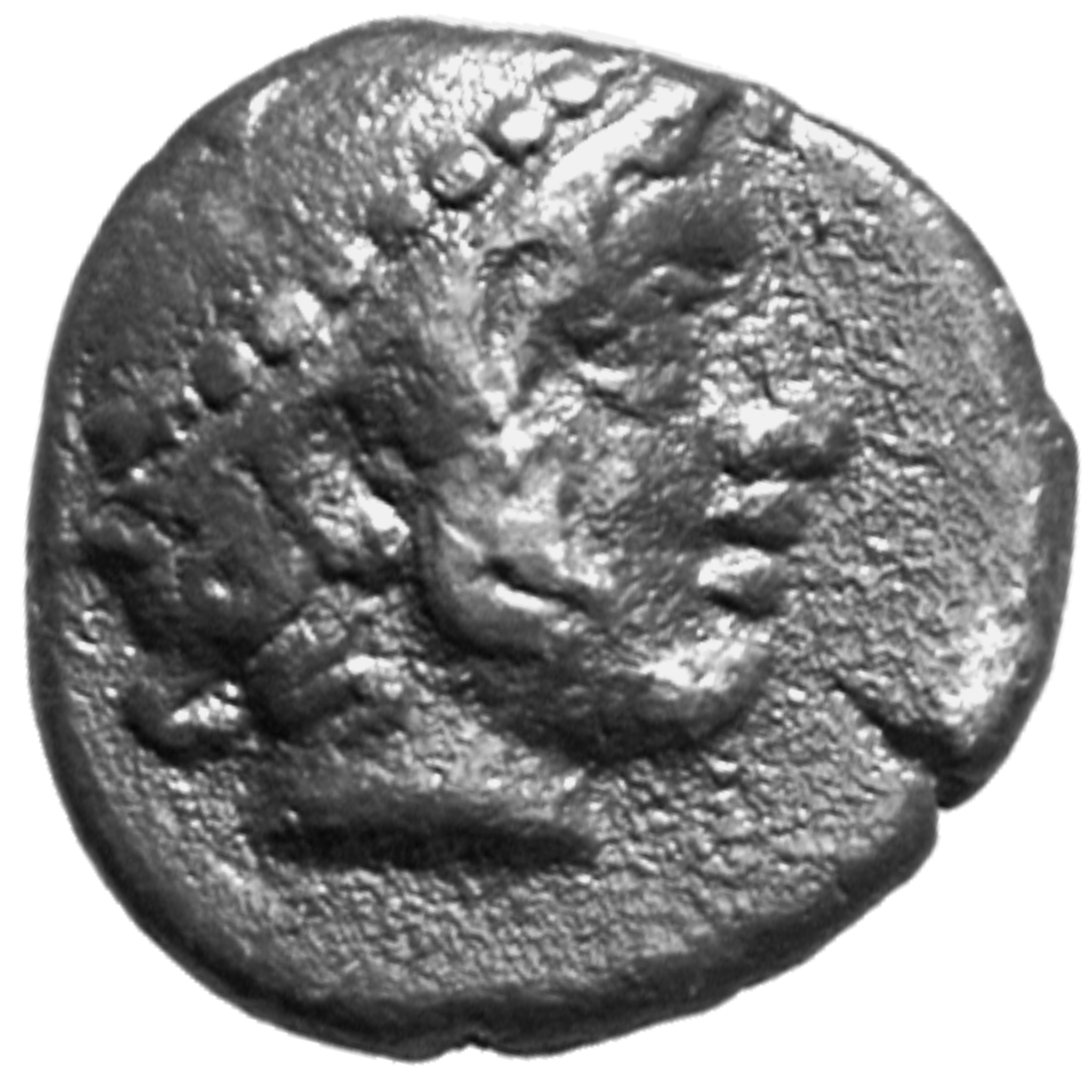 CN Type cn.aenus.1_ed.41, аверс, cn-coins