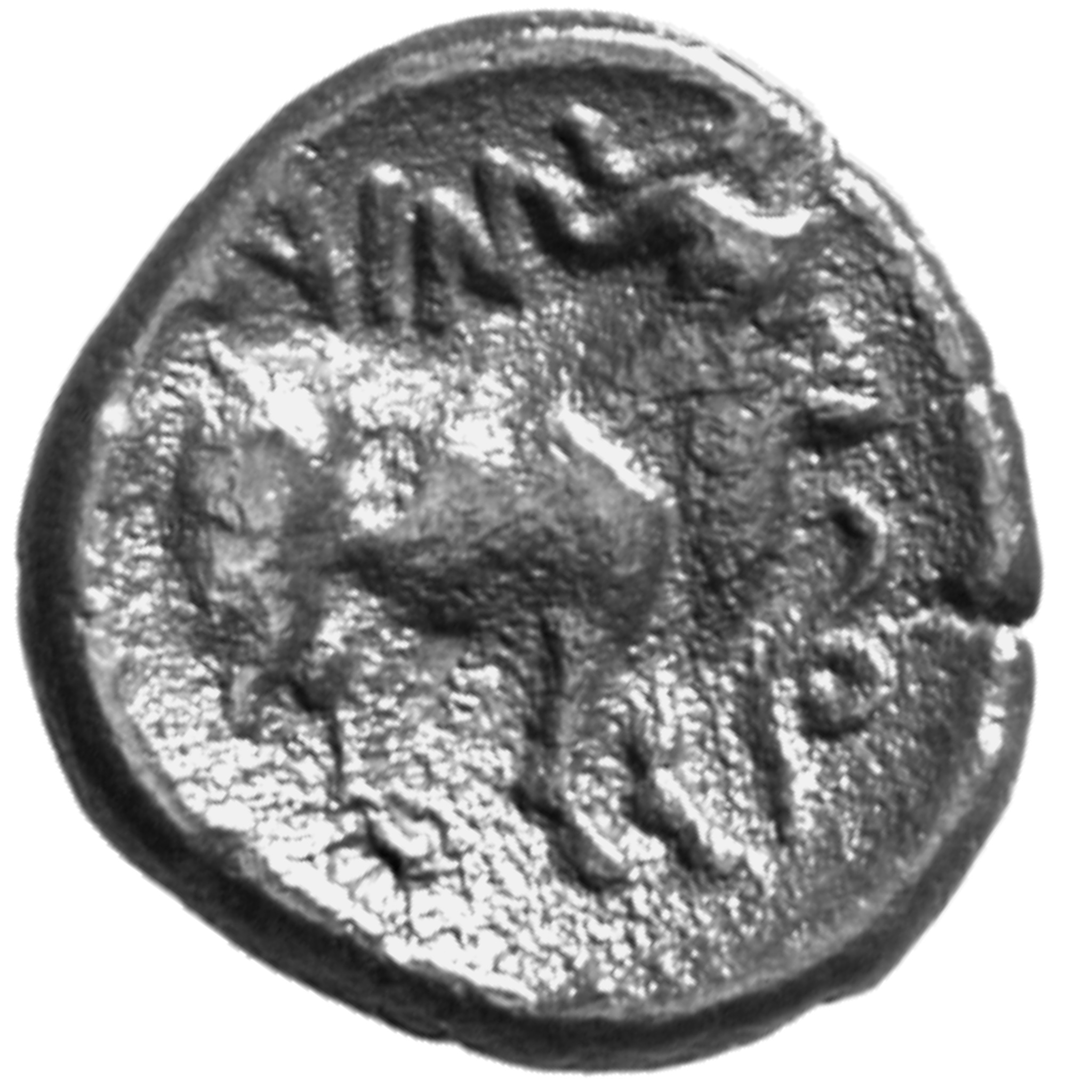 CN Type cn.aenus.1_ed.41, реверс, cn-coins
