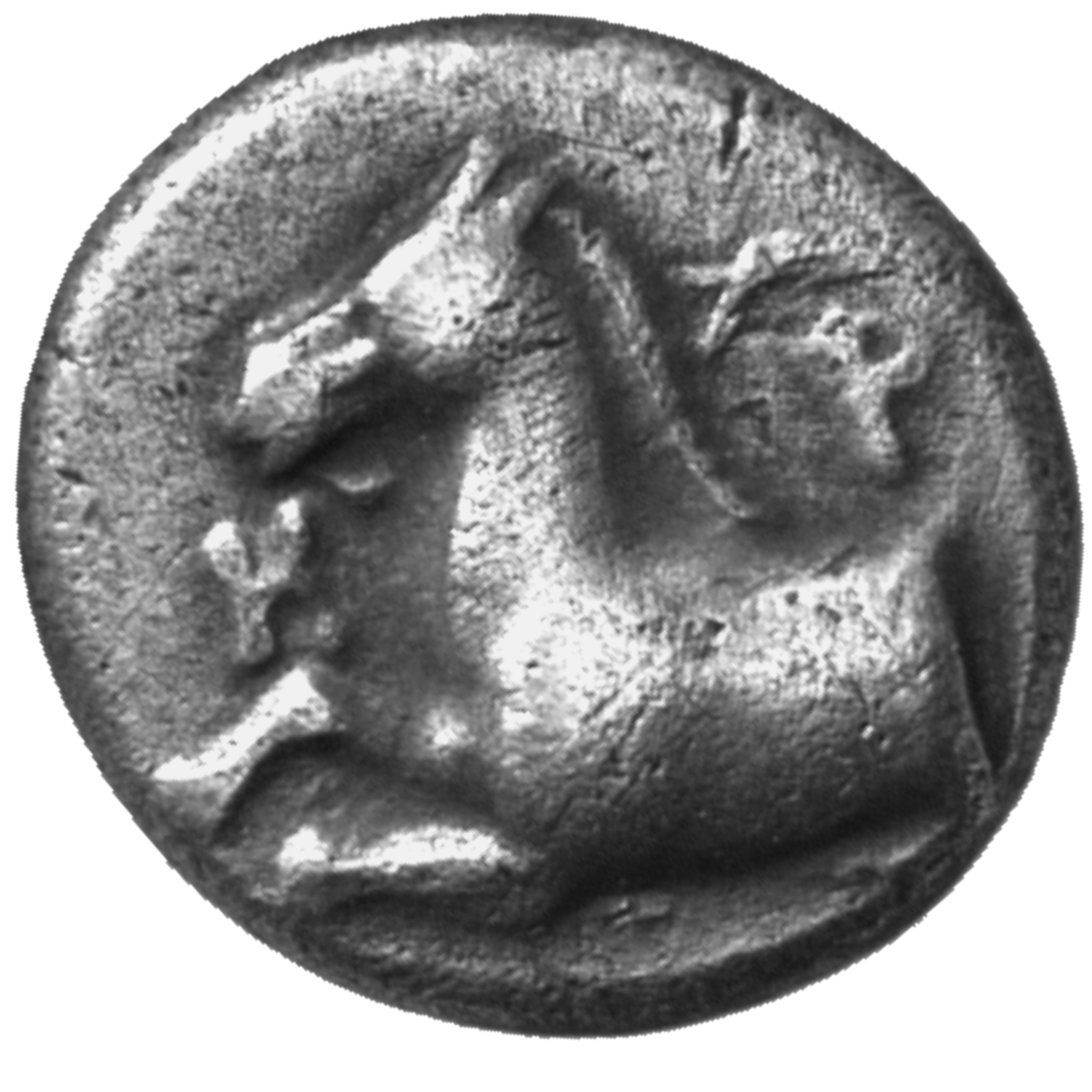 CN Type cn.maroneia.1_ed.96, аверс, cn-coins