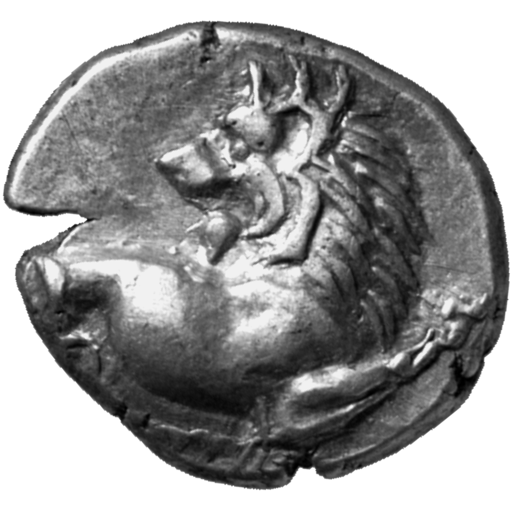 CN Type cn.chersonesus_thrace.1_ed.96, obverse, cn-coins