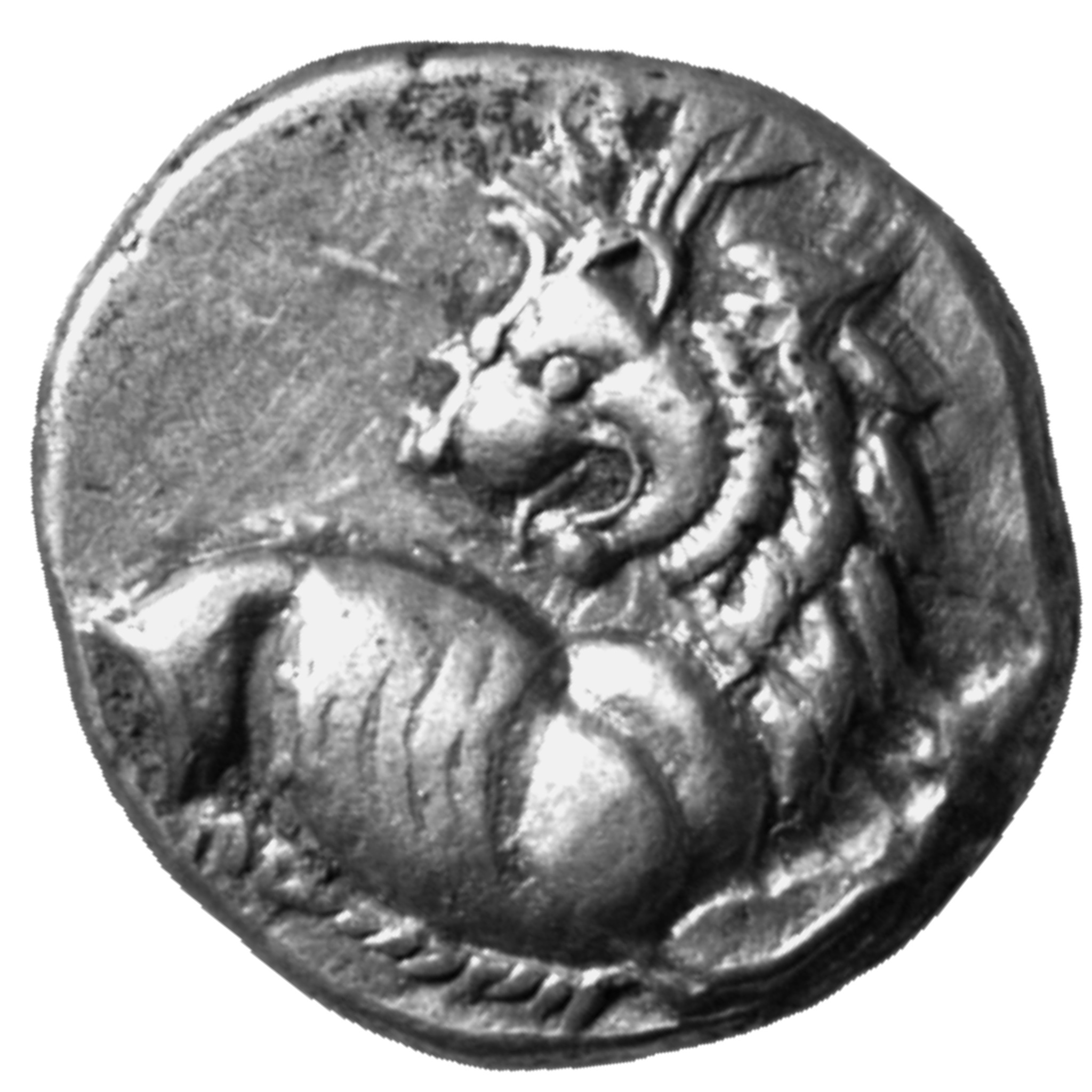 CN Type cn.chersonesus_thrace.1_ed.32, аверс, cn-coins