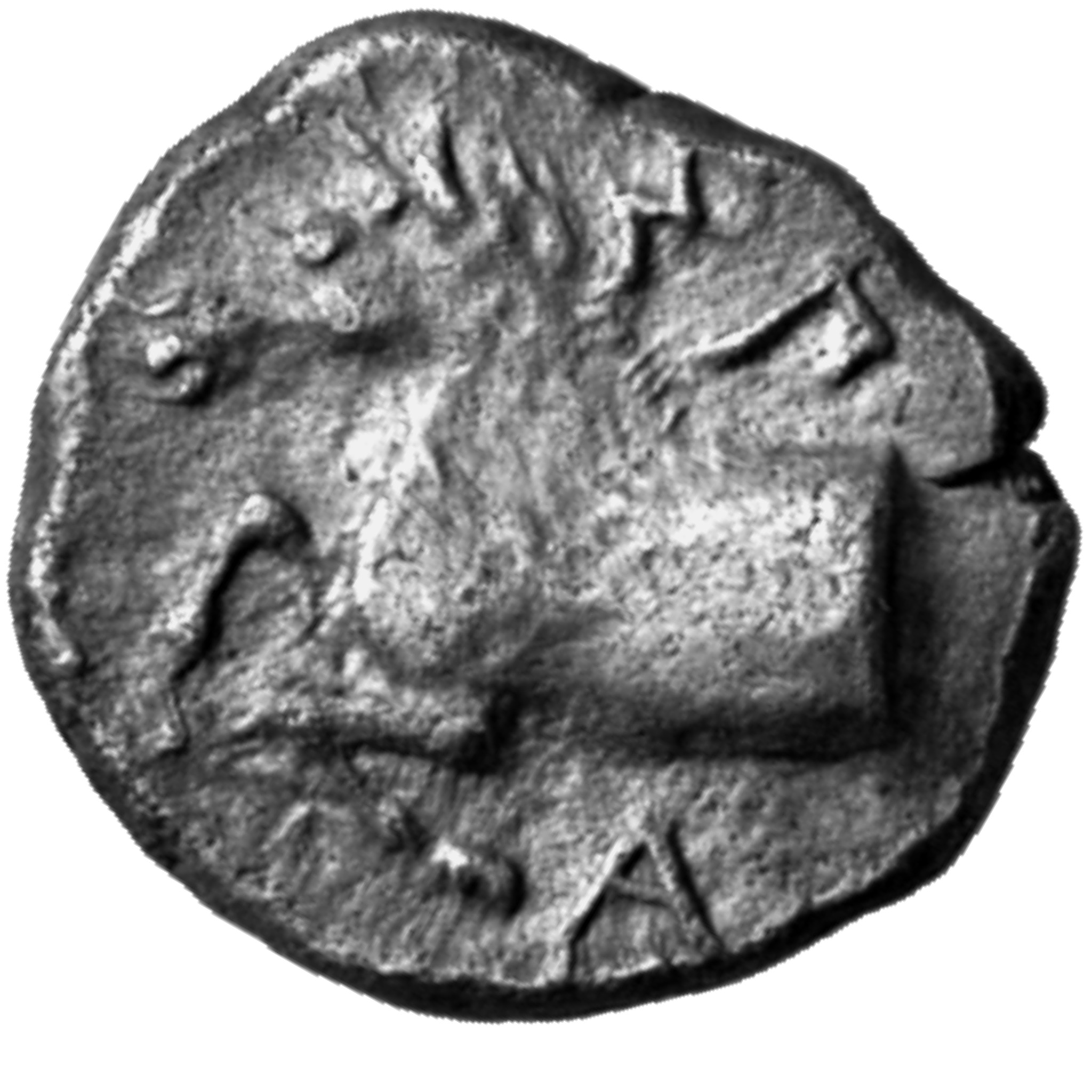 CN Type cn.sparadocus_odrysian_thrace.1_ed.4, аверс, cn-coins