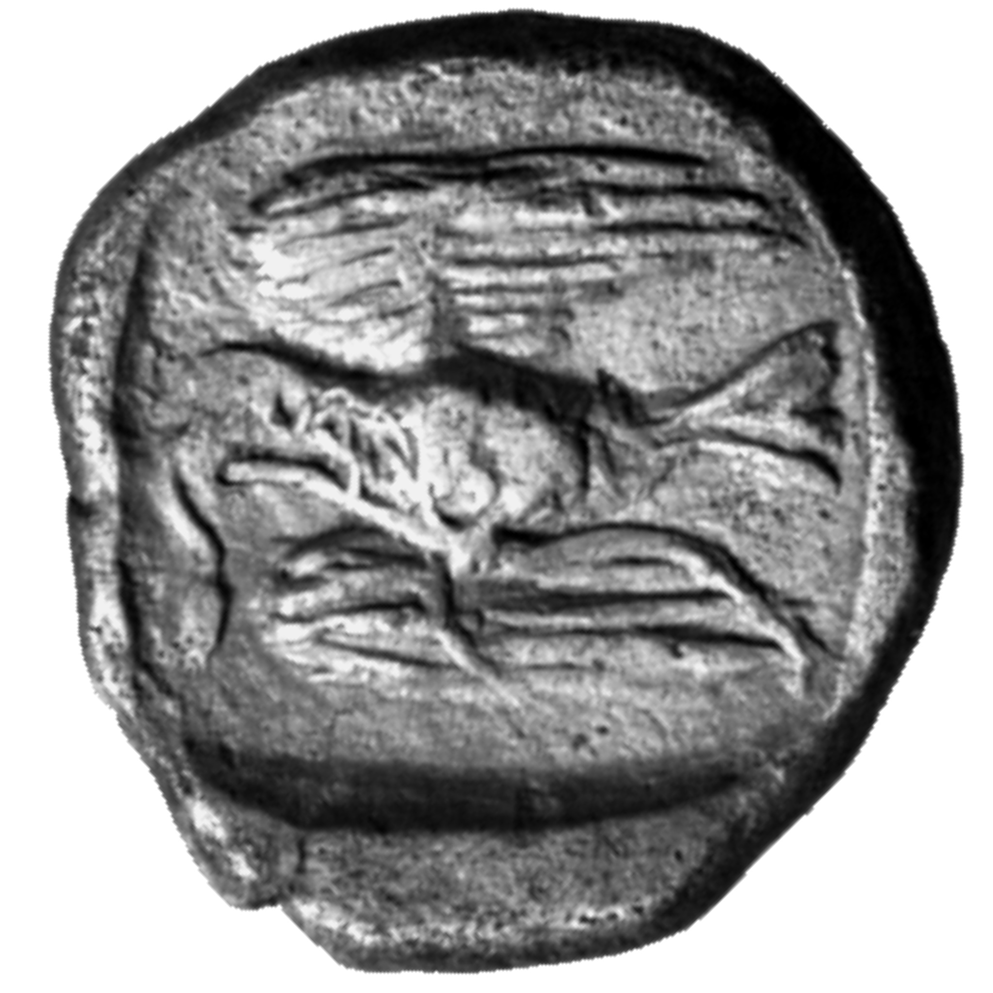 CN Type cn.sparadocus_odrysian_thrace.1_ed.4, реверс, cn-coins