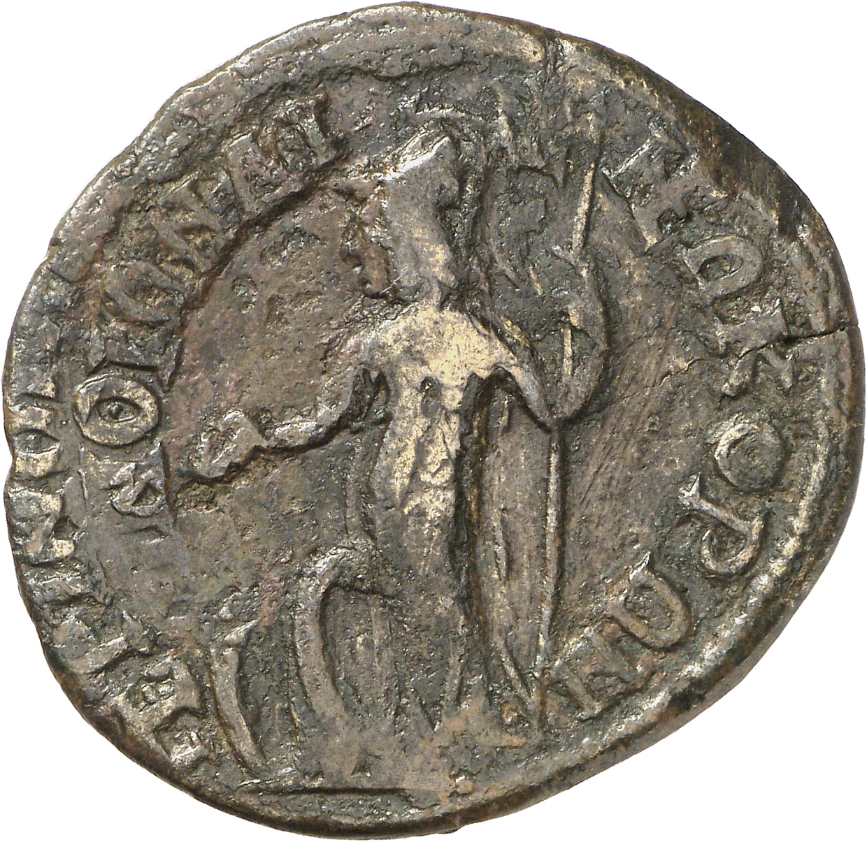 reverse CN Type cn.perinthus.1_ed.448