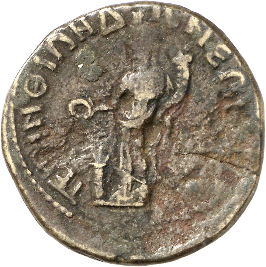 reverse CN Type cn.perinthus.1_ed.479