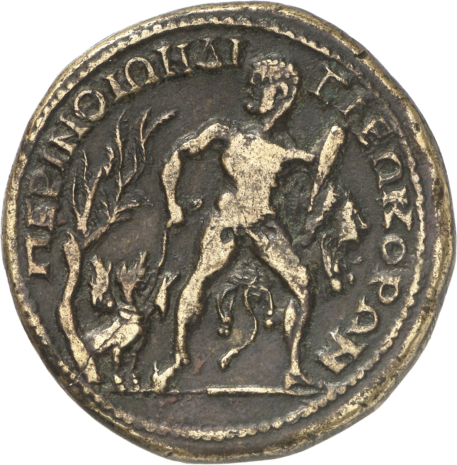 reverse CN Type cn.perinthus.1_ed.488