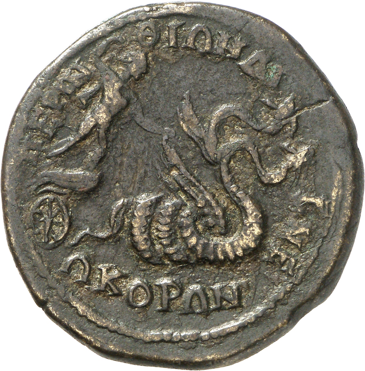 reverse CN Type cn.perinthus.1_ed.509