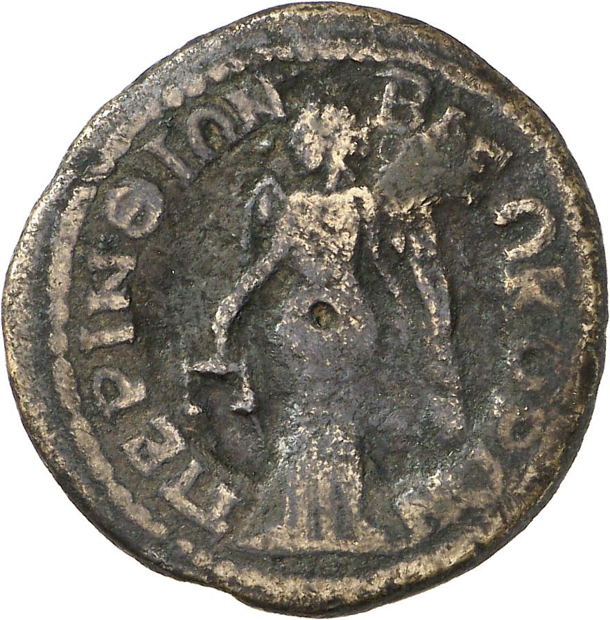 reverse CN Type cn.perinthus.1_ed.559