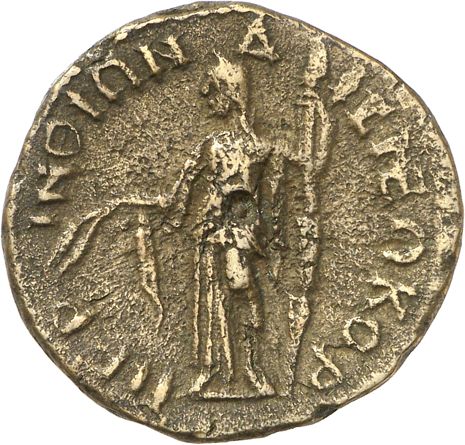 reverse CN Type cn.perinthus.1_ed.551