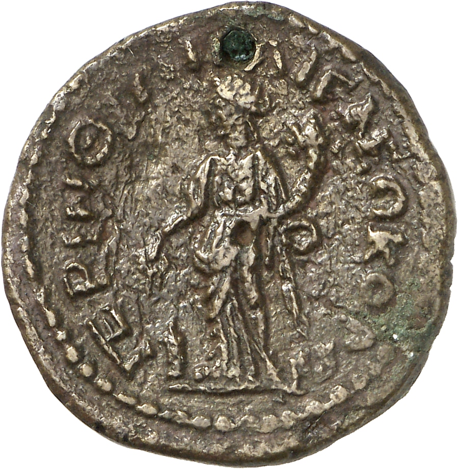 reverse CN Type cn.perinthus.1_ed.556