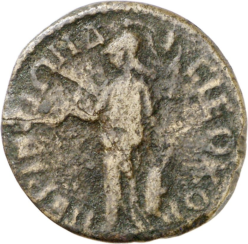 reverse CN Type cn.perinthus.1_ed.546