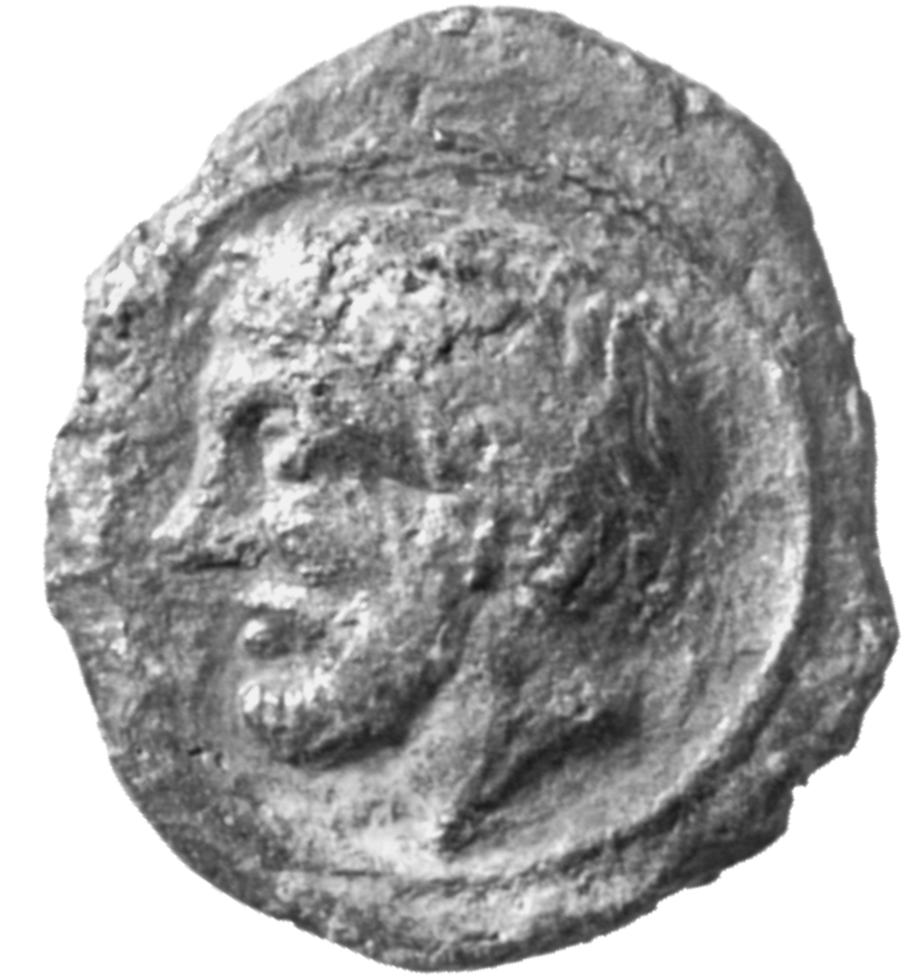 CN Type cn.hebryzelmis_odrysian_thrace.1_ed.2, аверс, cn-coins
