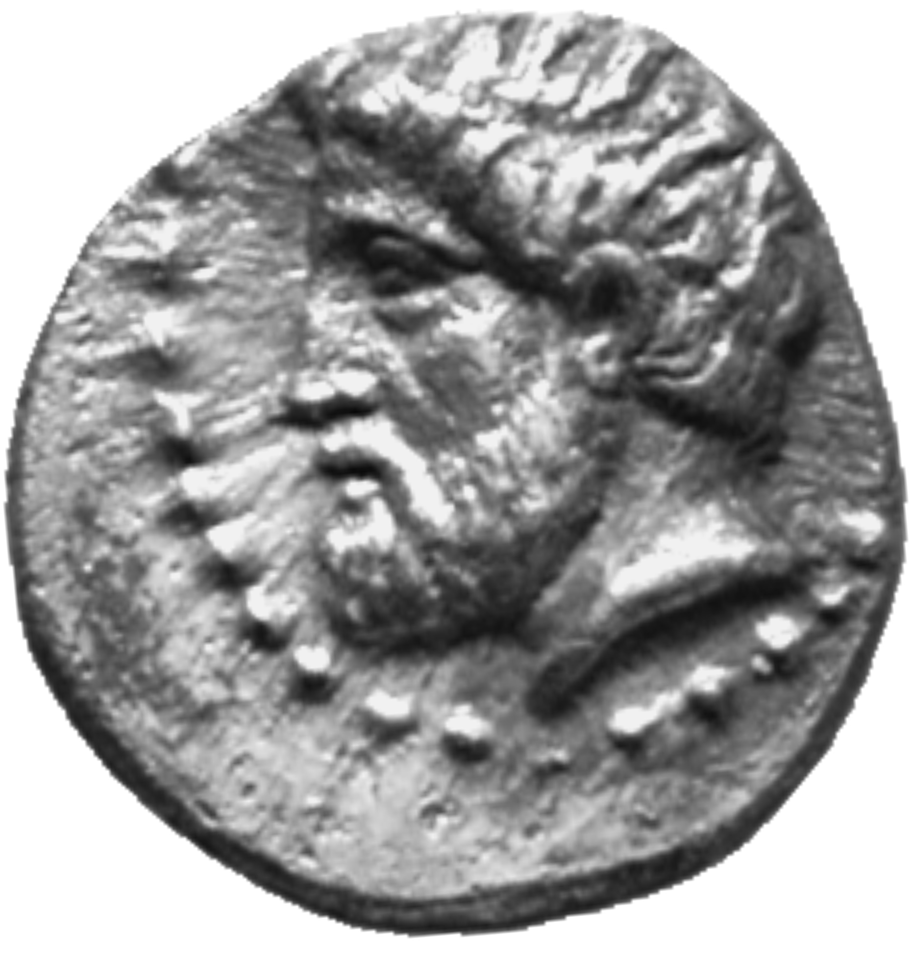 CN Type cn.cotys_i_odrysian_thrace.1_ed.1, аверс, cn-coins
