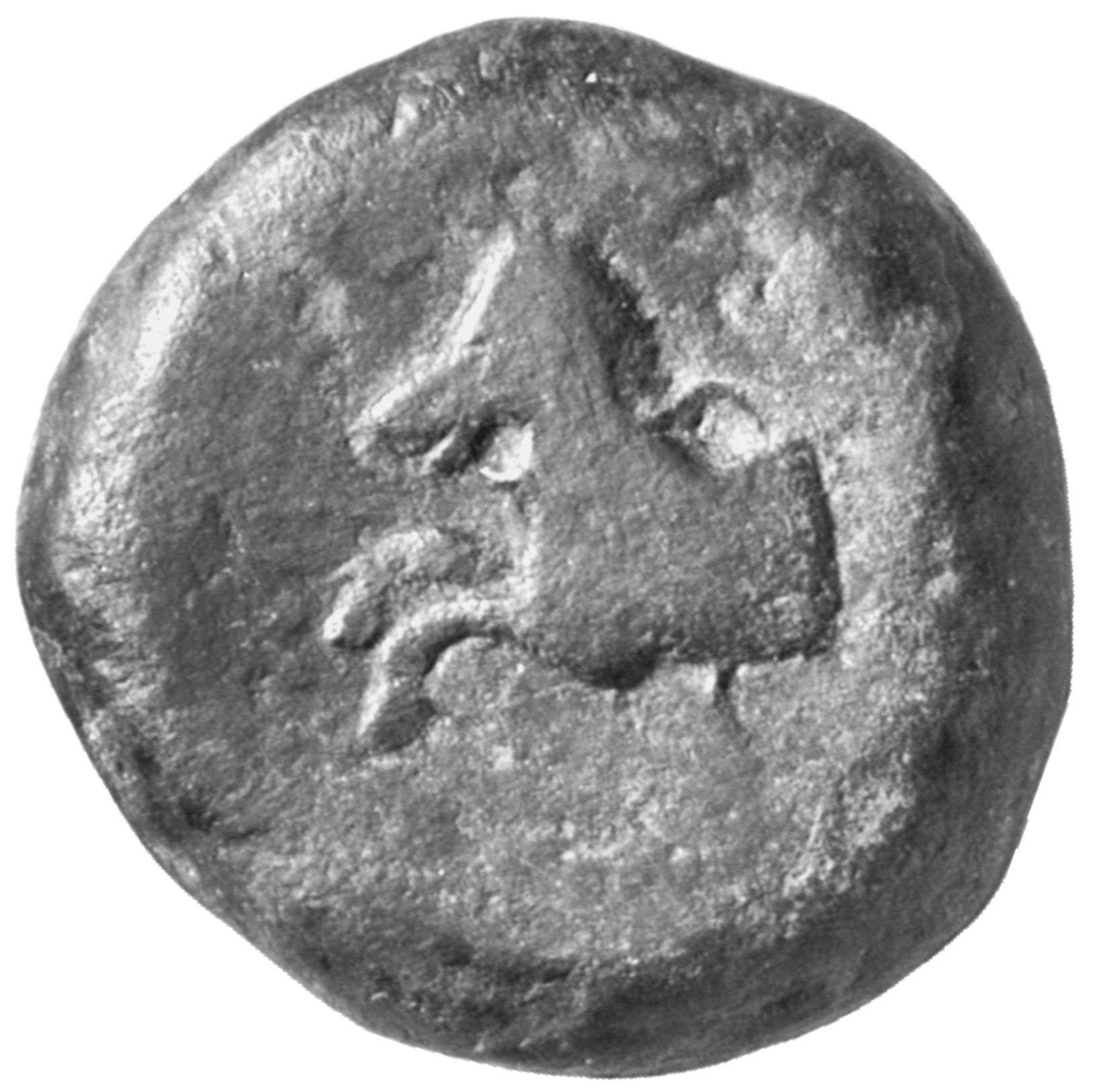 CN Type cn.cotys_i_odrysian_thrace.1_ed.5, аверс, cn-coins