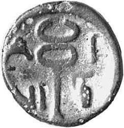 CN Type cn.aenus.1_ed.29, реверс, cn-coins