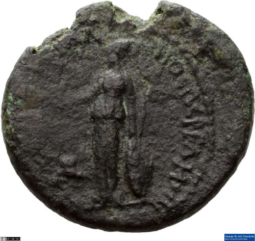 CN Type 19921, реверс, cn-coins