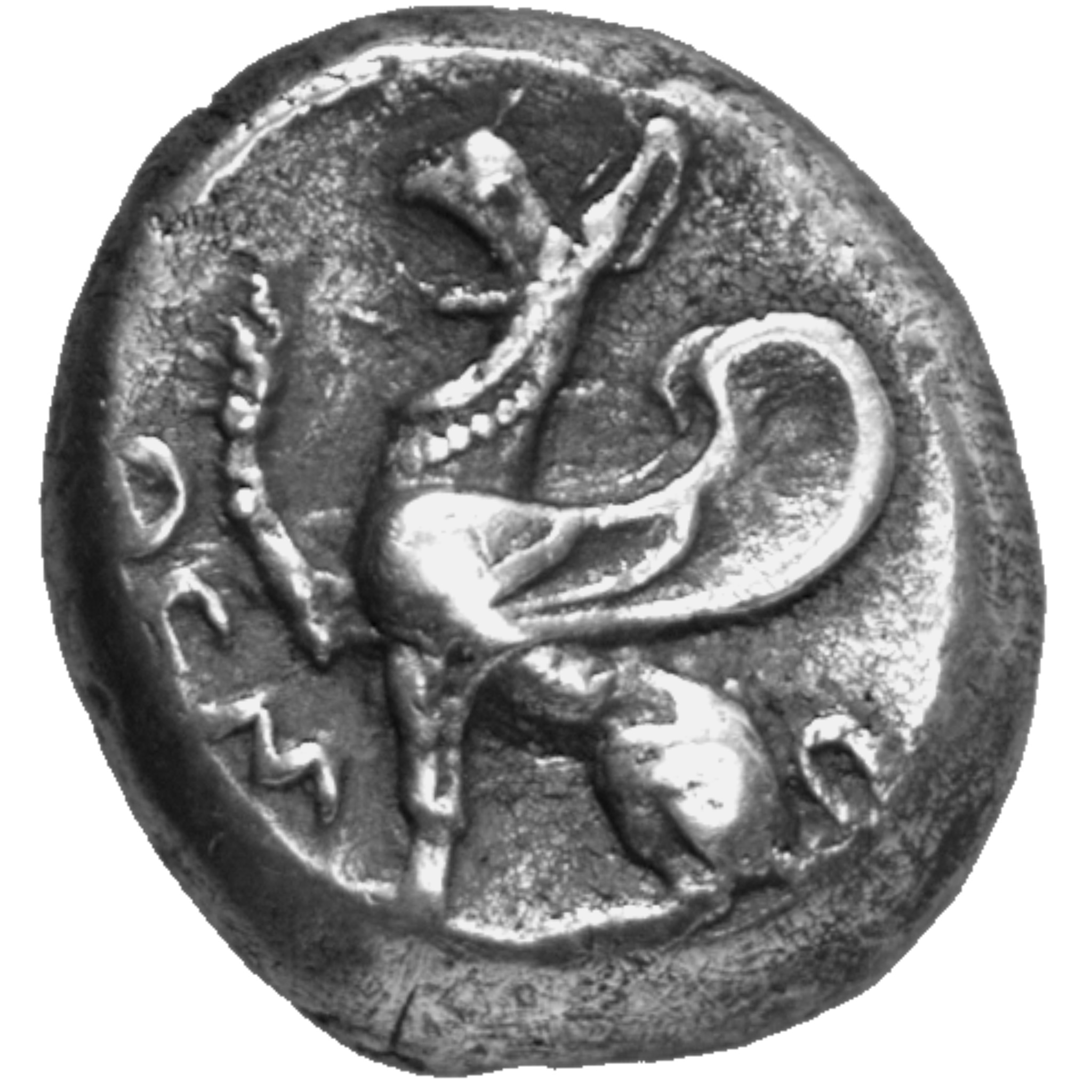 CN Type cn.abdera_thrace.1_ed.40, аверс, cn-coins