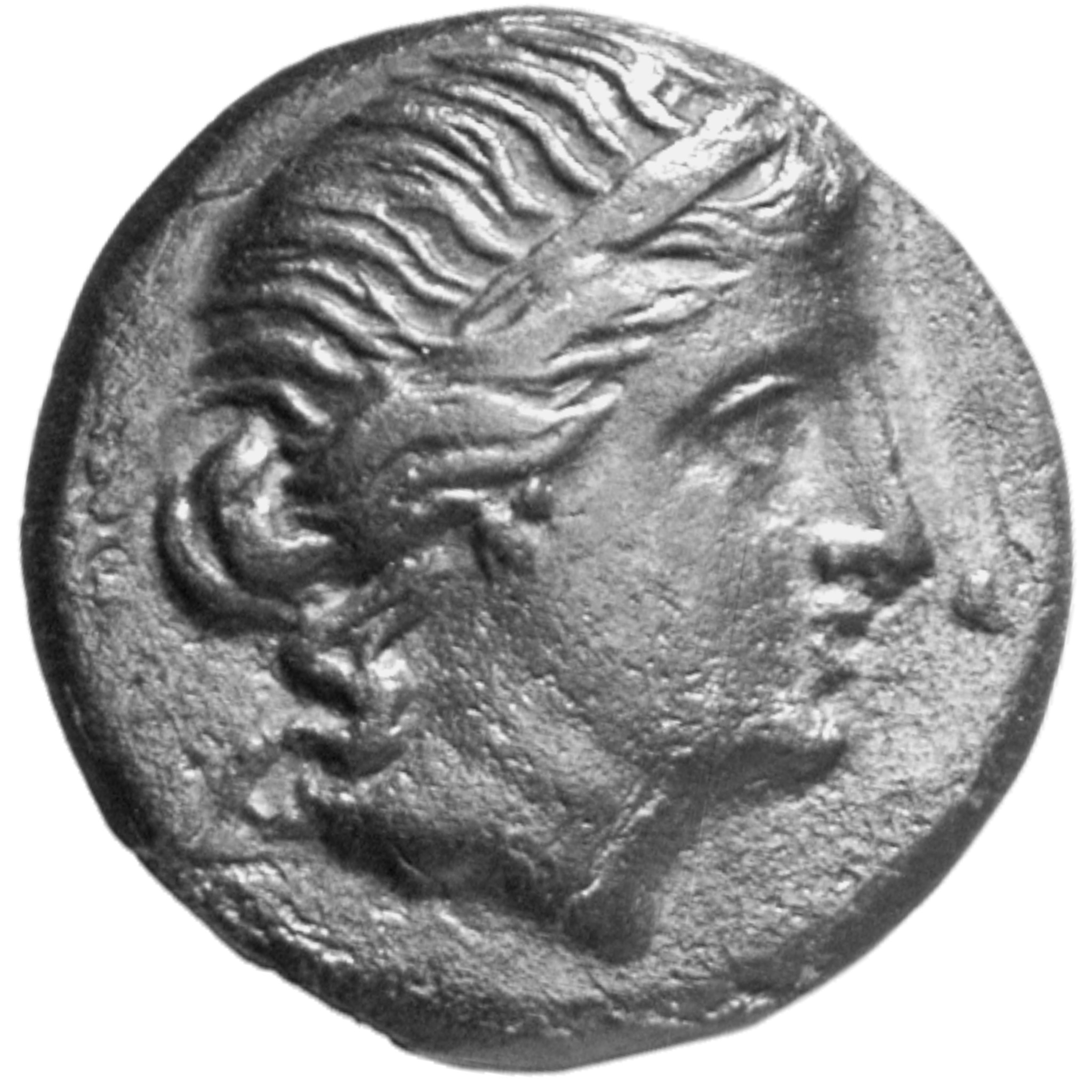 CN Type cn.mesembria.1_ed.134, аверс, cn-coins