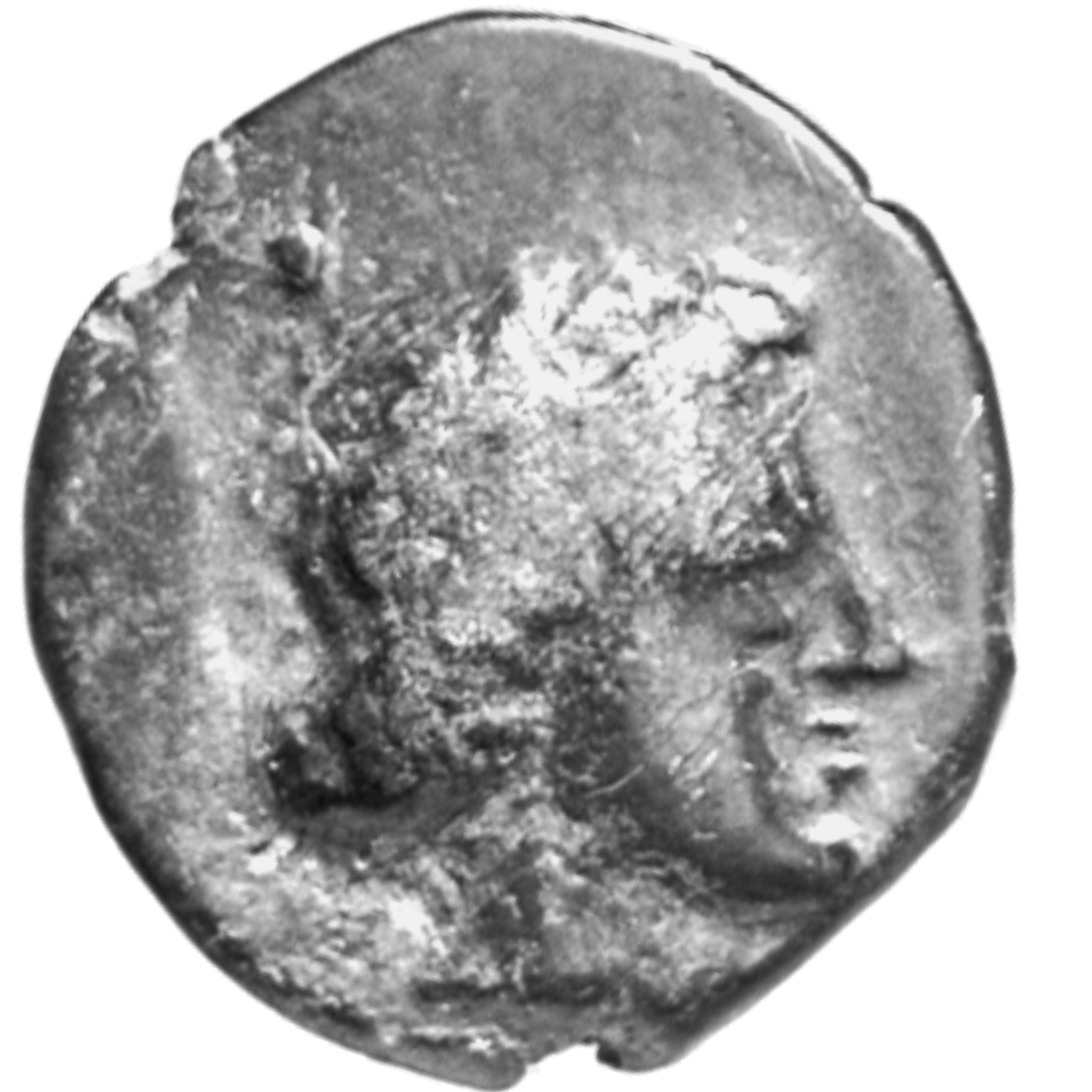 obverse CN Type 11369