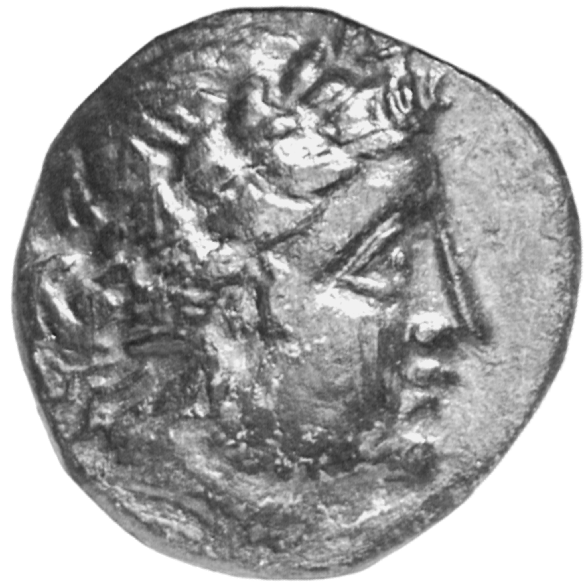 CN Type cn.cabyle.1_ed.1, аверс, cn-coins