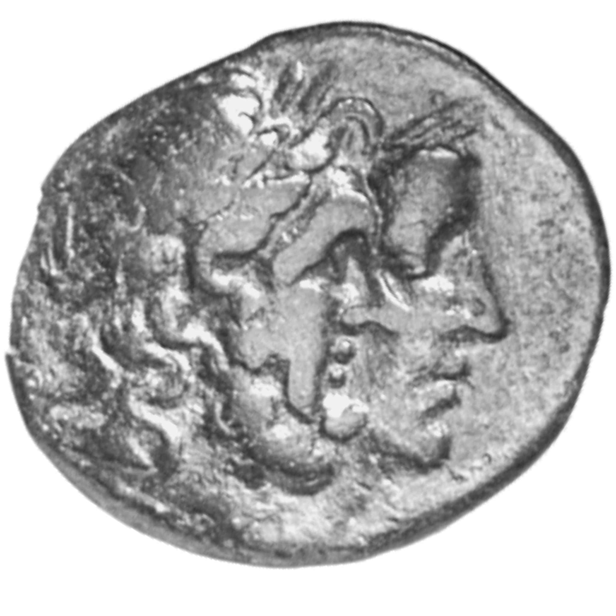 CN Type cn.mostis_caeni.1_ed.4, аверс, cn-coins