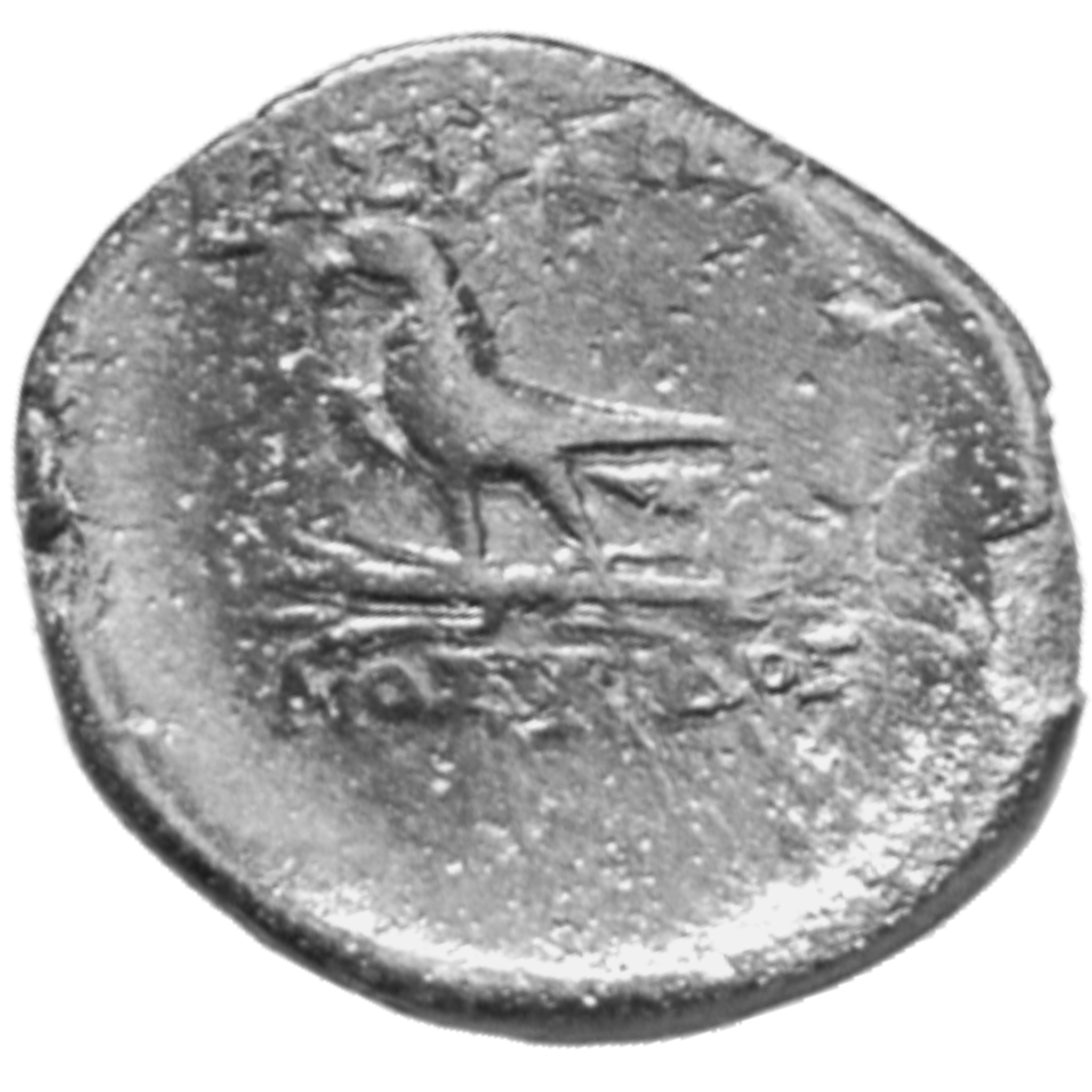 CN Type cn.mostis_caeni.1_ed.4, реверс, cn-coins