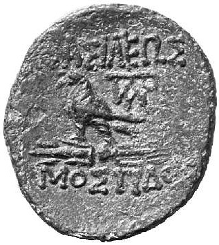 CN Type cn.mostis_caeni.1_ed.5, реверс, cn-coins