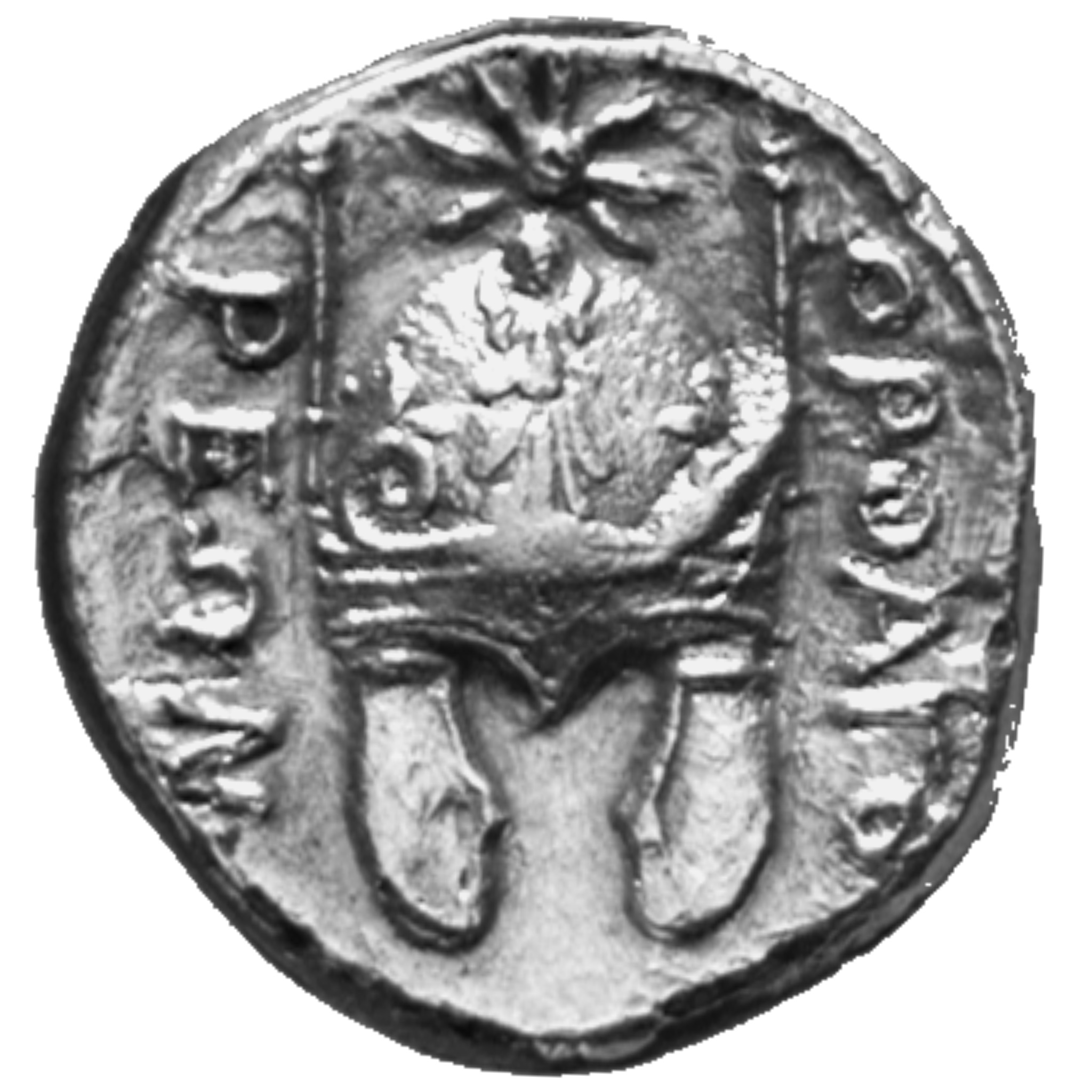CN Type cn.orthagoreia_thrace.1_ed.1, реверс, cn-coins