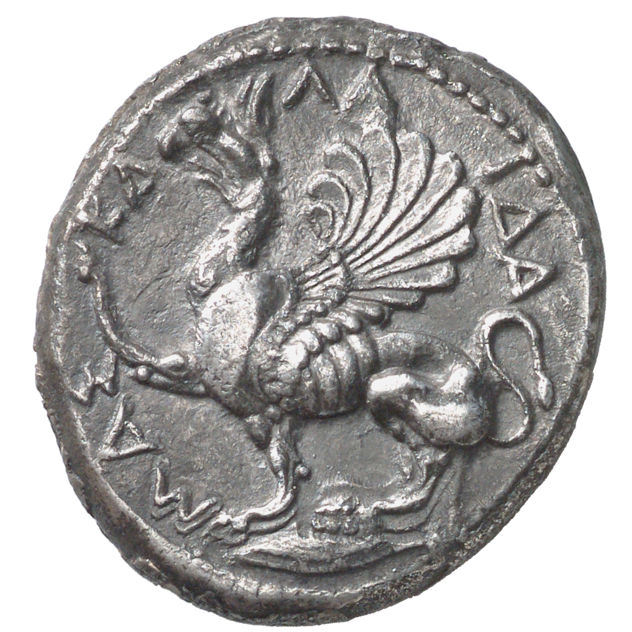 CN Type cn.abdera_thrace.1_ed.93, аверс, cn-coins