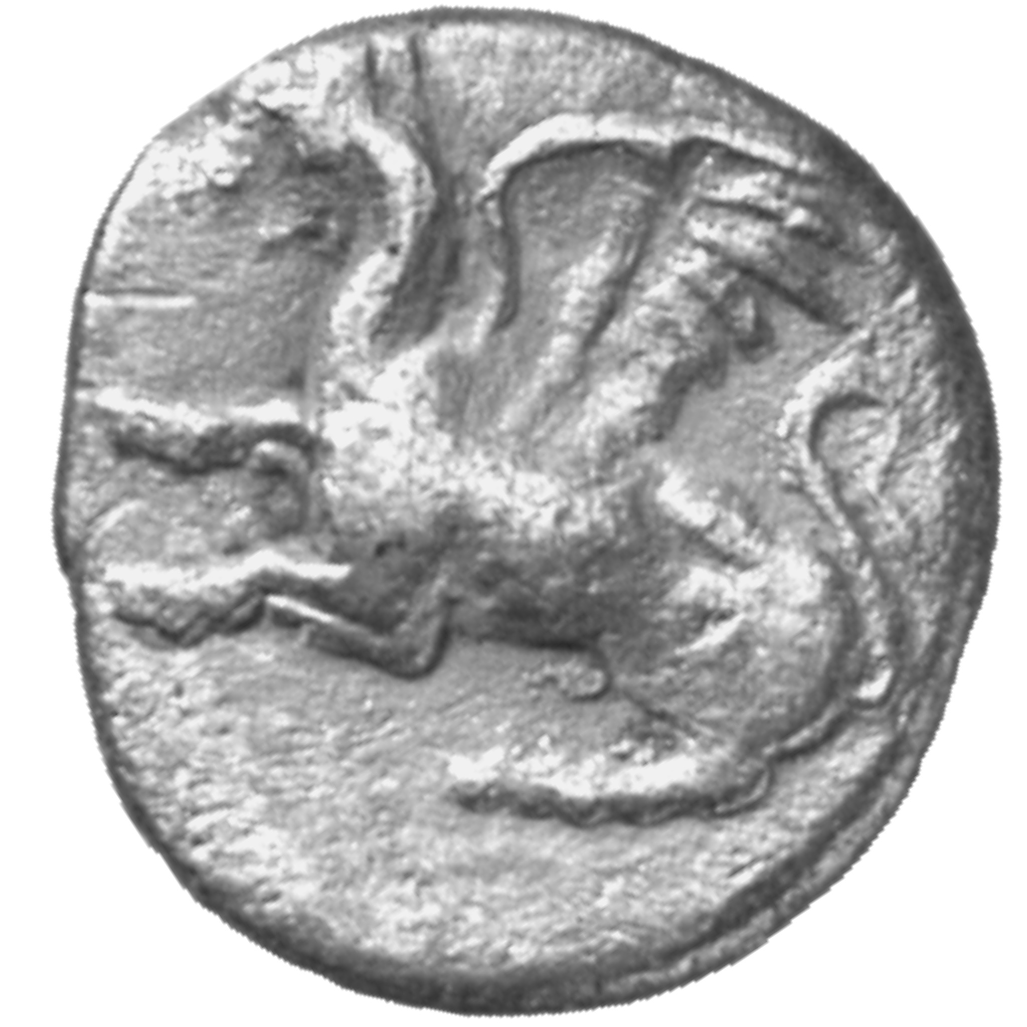 CN Type cn.abdera_thrace.1_ed.174, аверс, cn-coins