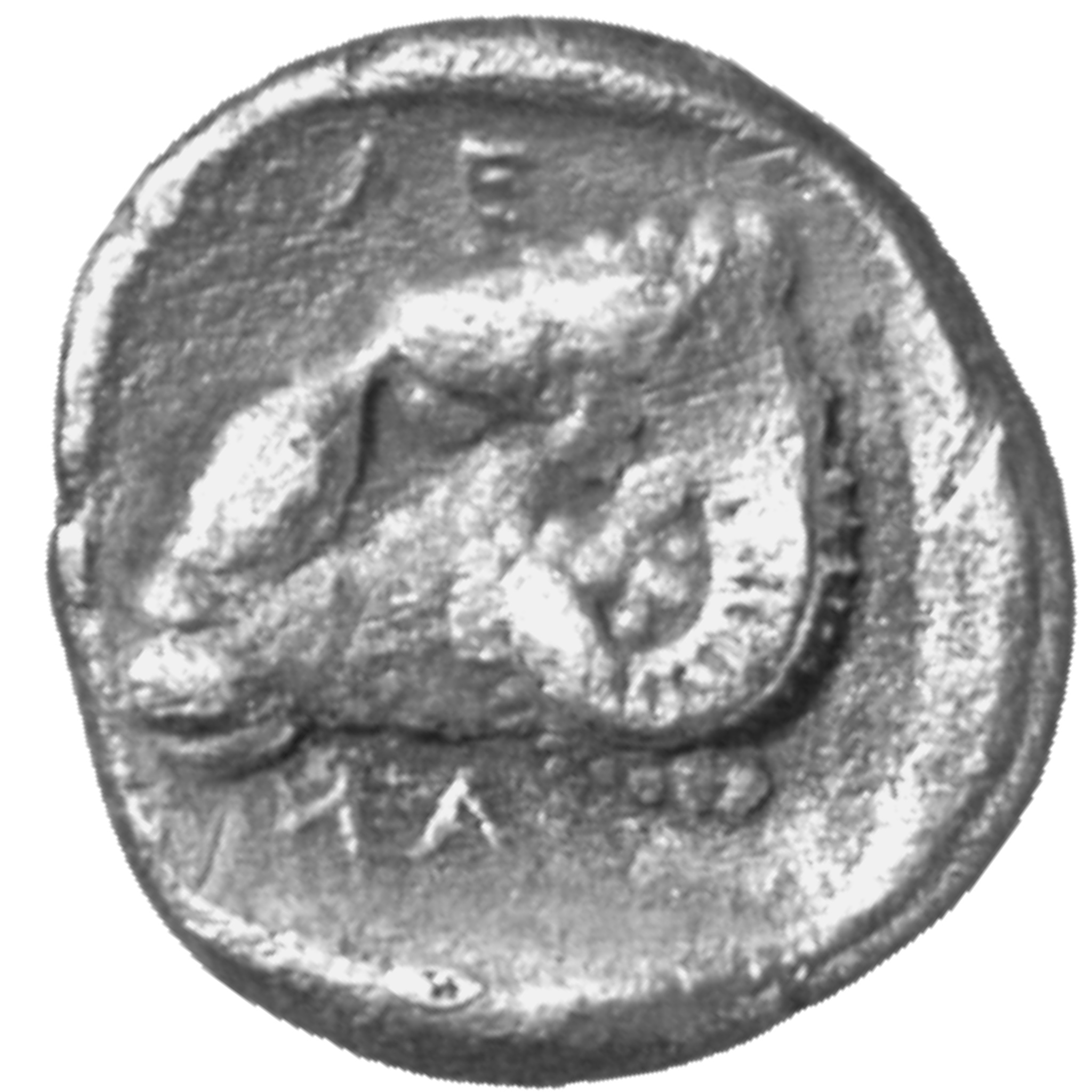 CN Type cn.abdera_thrace.1_ed.174, реверс, cn-coins
