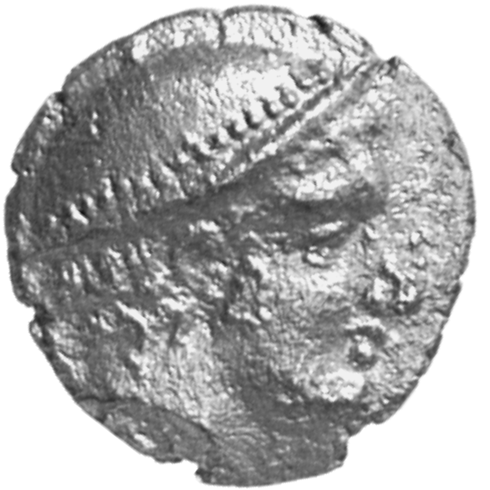 CN Type cn.aenus.1_ed.63, аверс, cn-coins