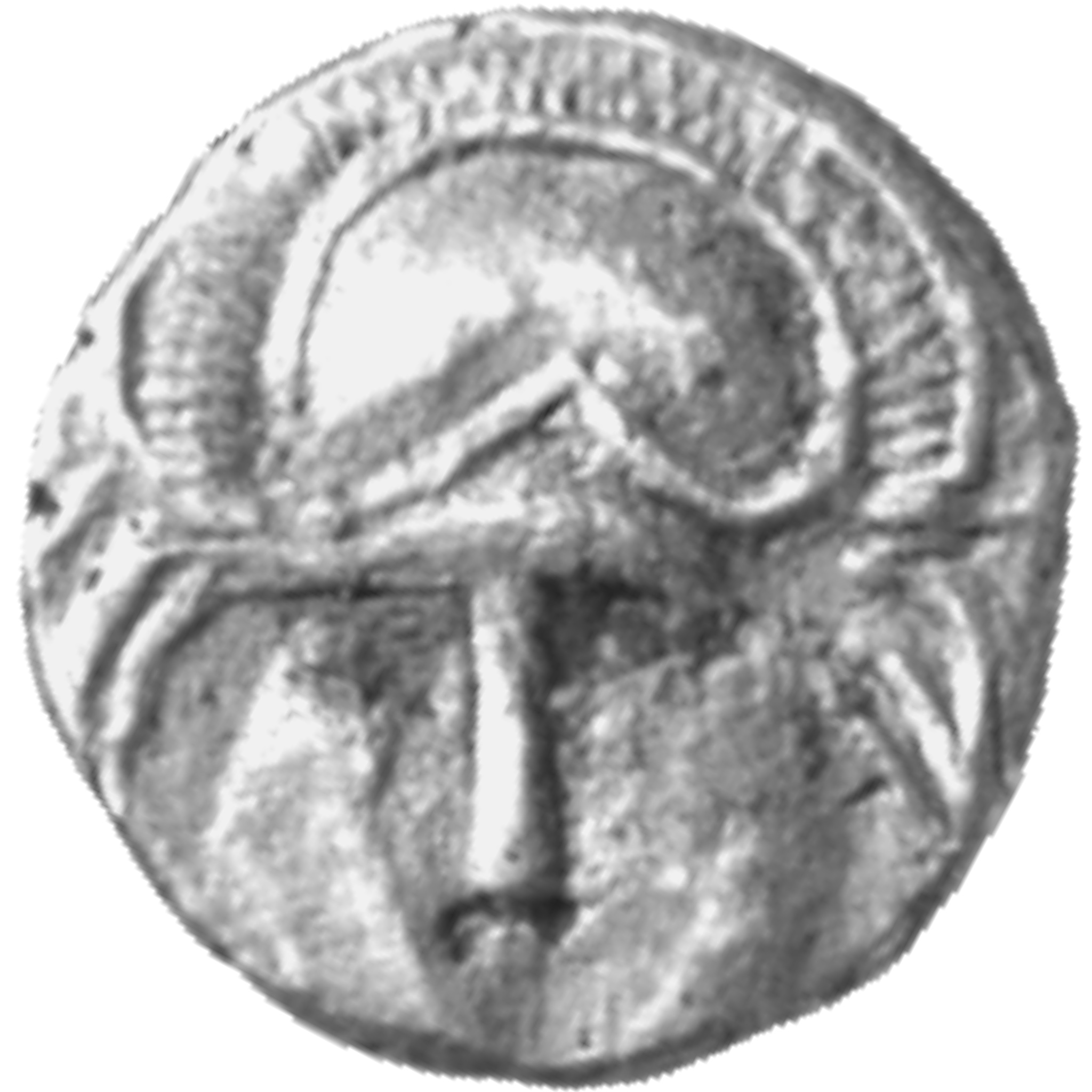CN Type cn.mesembria.1_ed.2, аверс, cn-coins