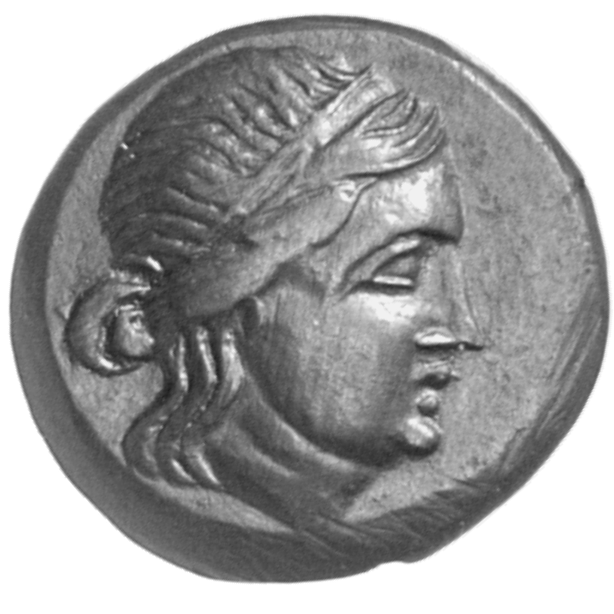 CN Type cn.mesembria.1_ed.134, аверс, cn-coins
