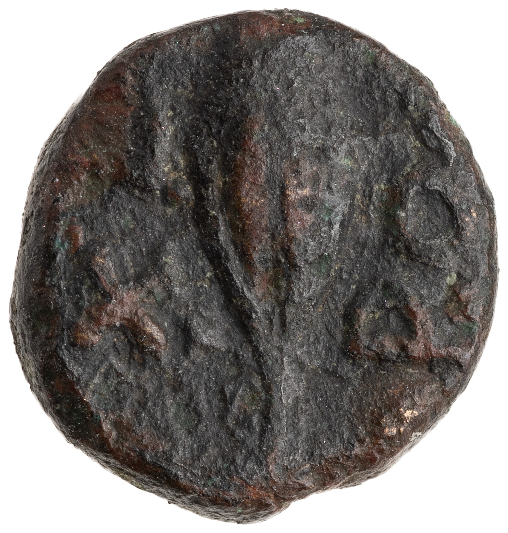 CN Type cn.chersonesus_thrace.1_ed.118, реверс, cn-coins