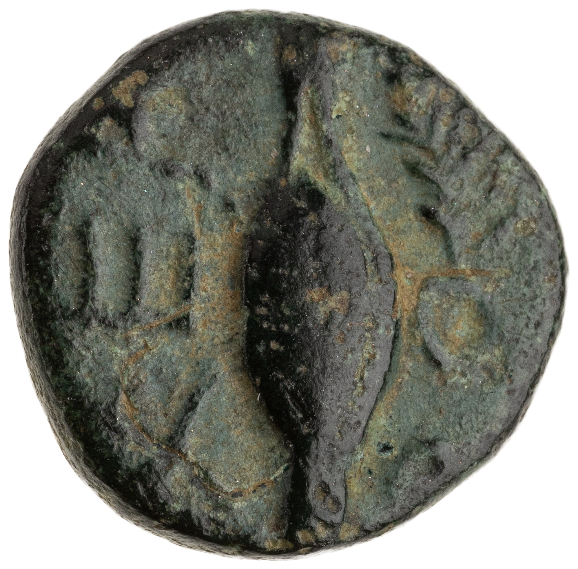 реверс CN Type cn.chersonesus_thrace.1_ed.116