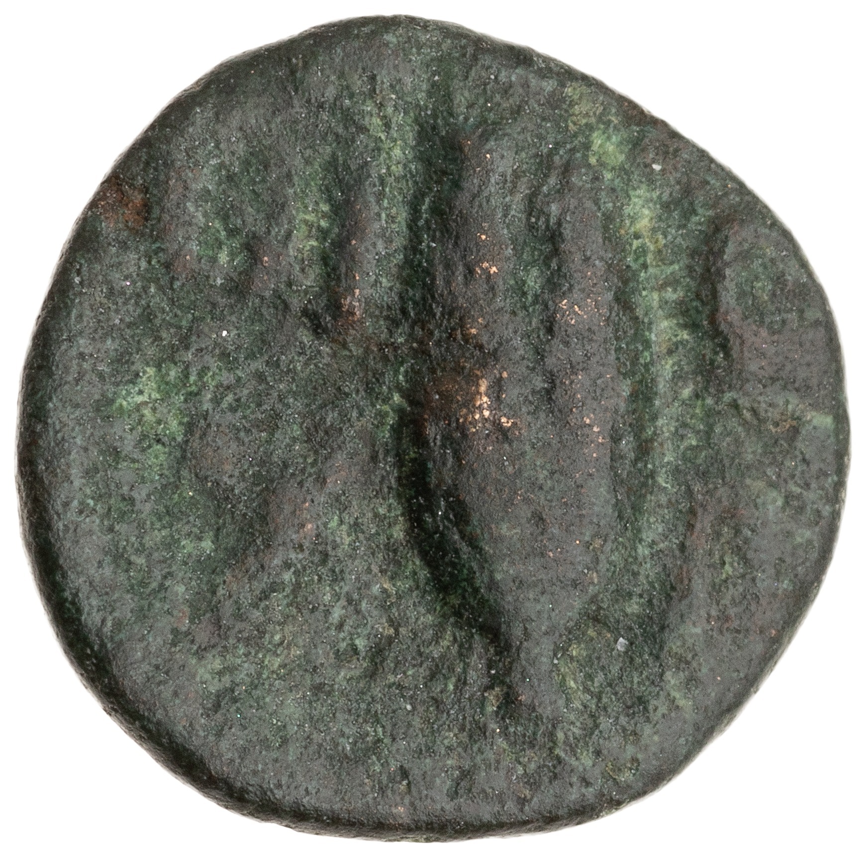 CN Type cn.chersonesus_thrace.1_ed.121, реверс, cn-coins