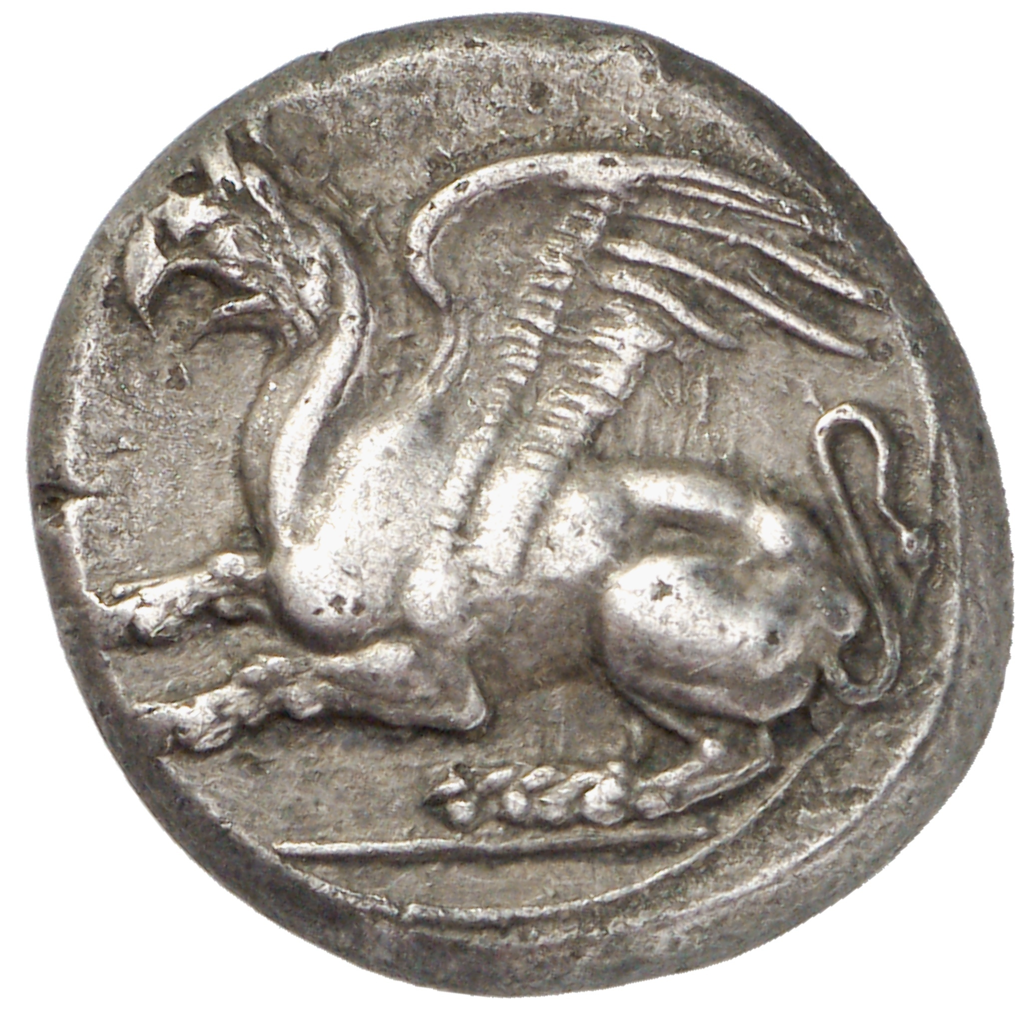 CN Type cn.abdera_thrace.1_ed.139, аверс, cn-coins