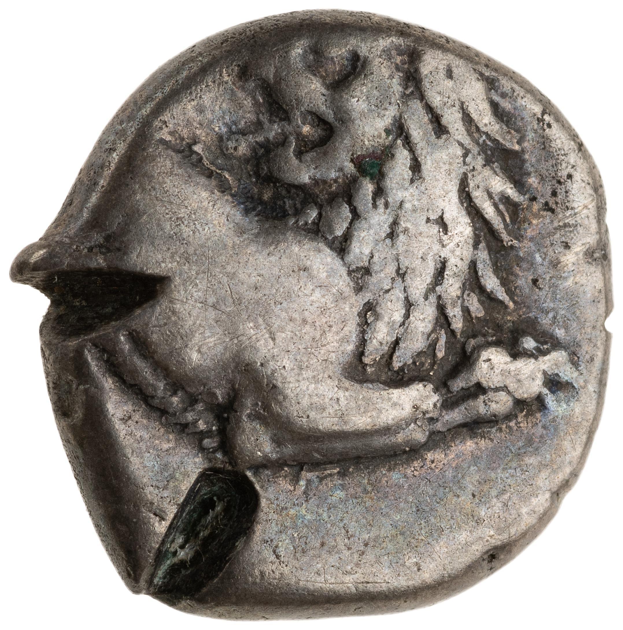 аверс CN Type cn.chersonesus_thrace.1_ed.89