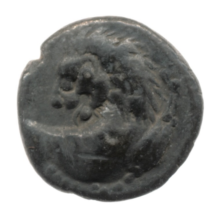 аверс CN Type cn.chersonesus_thrace.1_ed.90