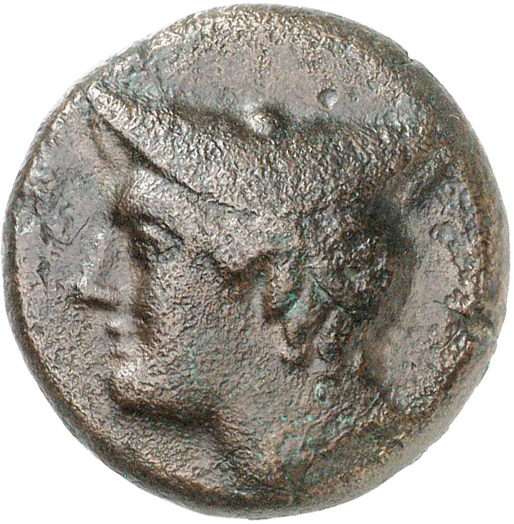 CN Type cn.aenus.1_ed.144, аверс, cn-coins