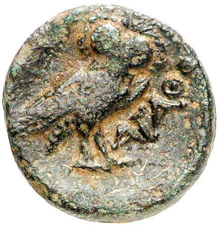 CN Type cn.agathopolis.1_ed.6, реверс, cn-coins