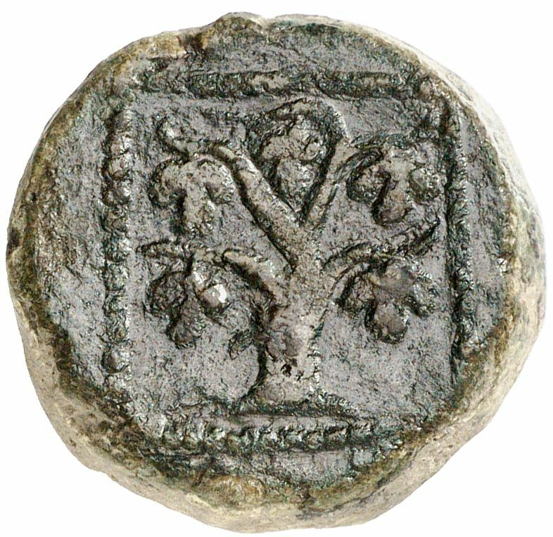CN Type cn.teres_iii_odrysian_thrace.1_ed.6, реверс, cn-coins