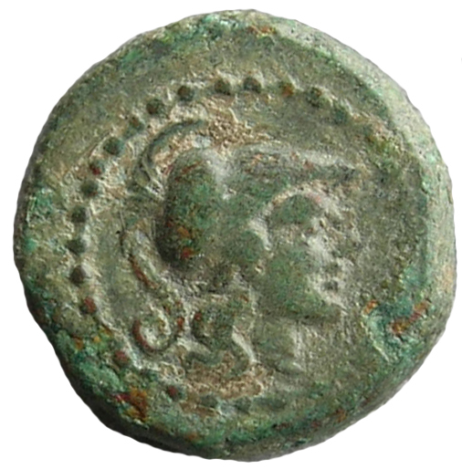 CN Type cn.alopeconnesus.1_ed.16, аверс, cn-coins