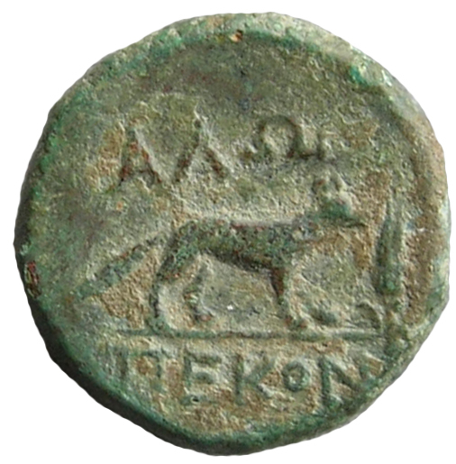 CN Type cn.alopeconnesus.1_ed.16, реверс, cn-coins