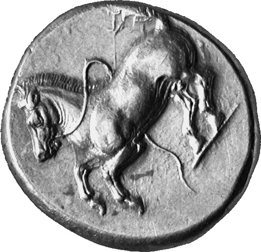 CN Type cn.maroneia.1_ed.143, аверс, cn-coins