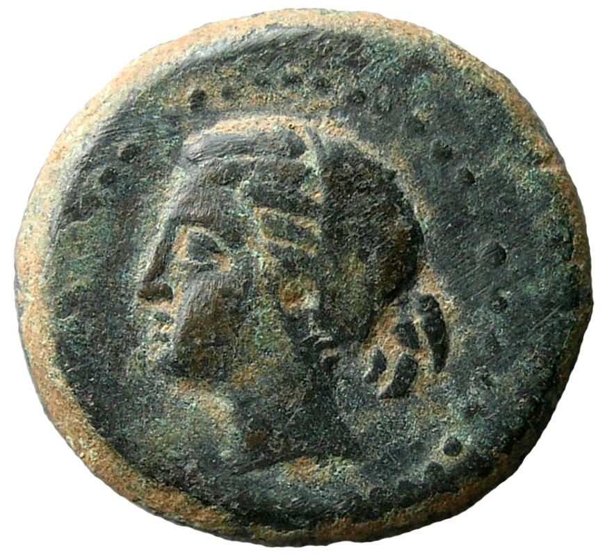 CN Type cn.sestus.1_ed.43, аверс, cn-coins