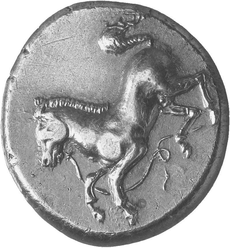 CN Type cn.maroneia.1_ed.149, аверс, cn-coins