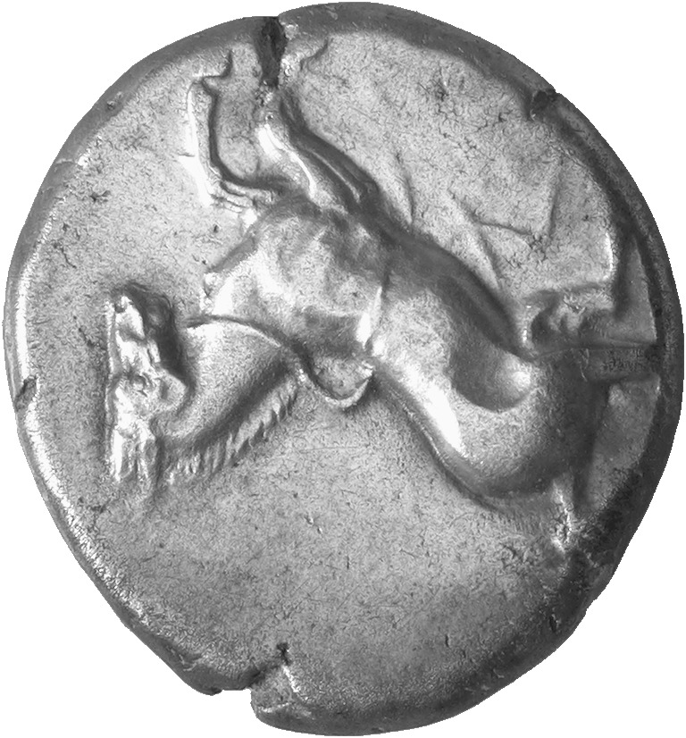 CN Type cn.maroneia.1_ed.142, аверс, cn-coins