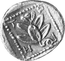 реверс CN Type cn.trierus.1_ed.2